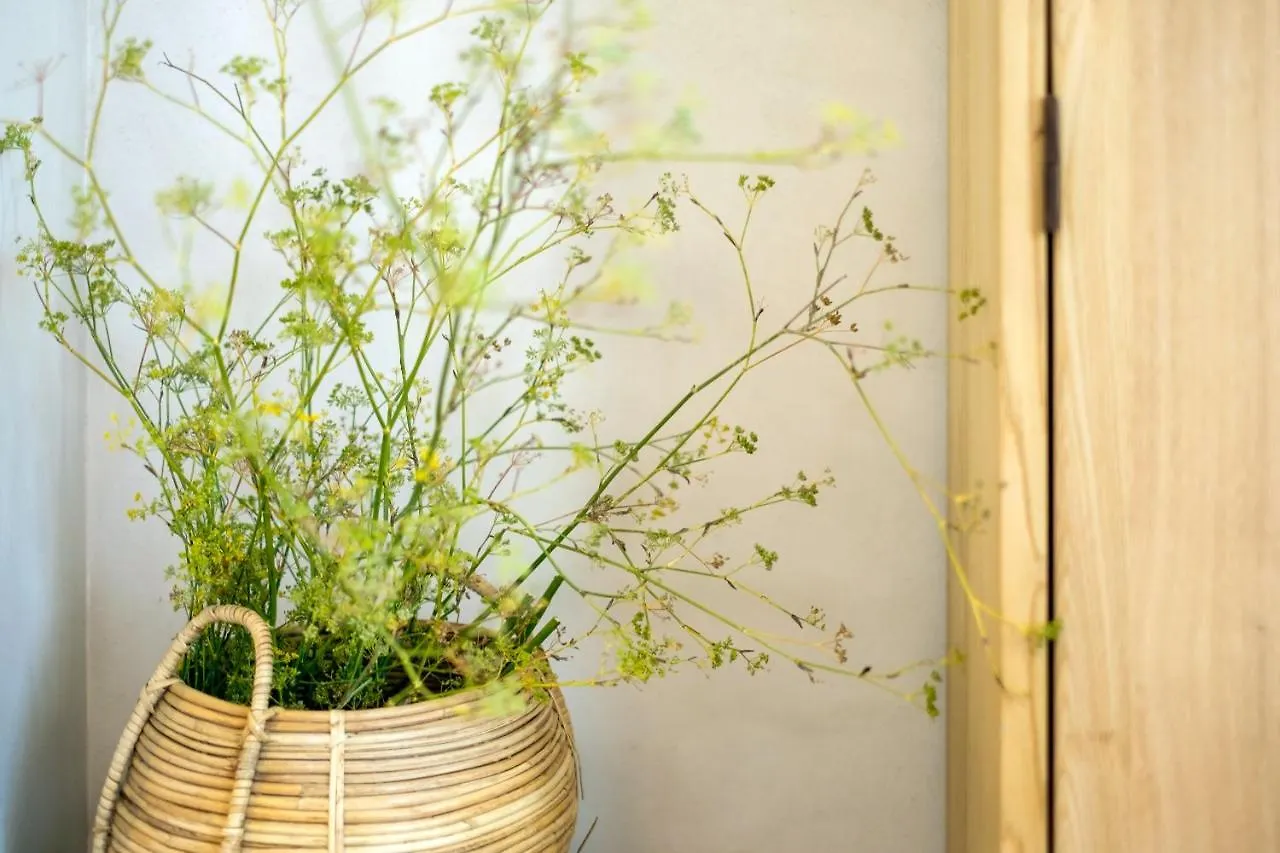 Terranura Bed & Breakfast Reitani