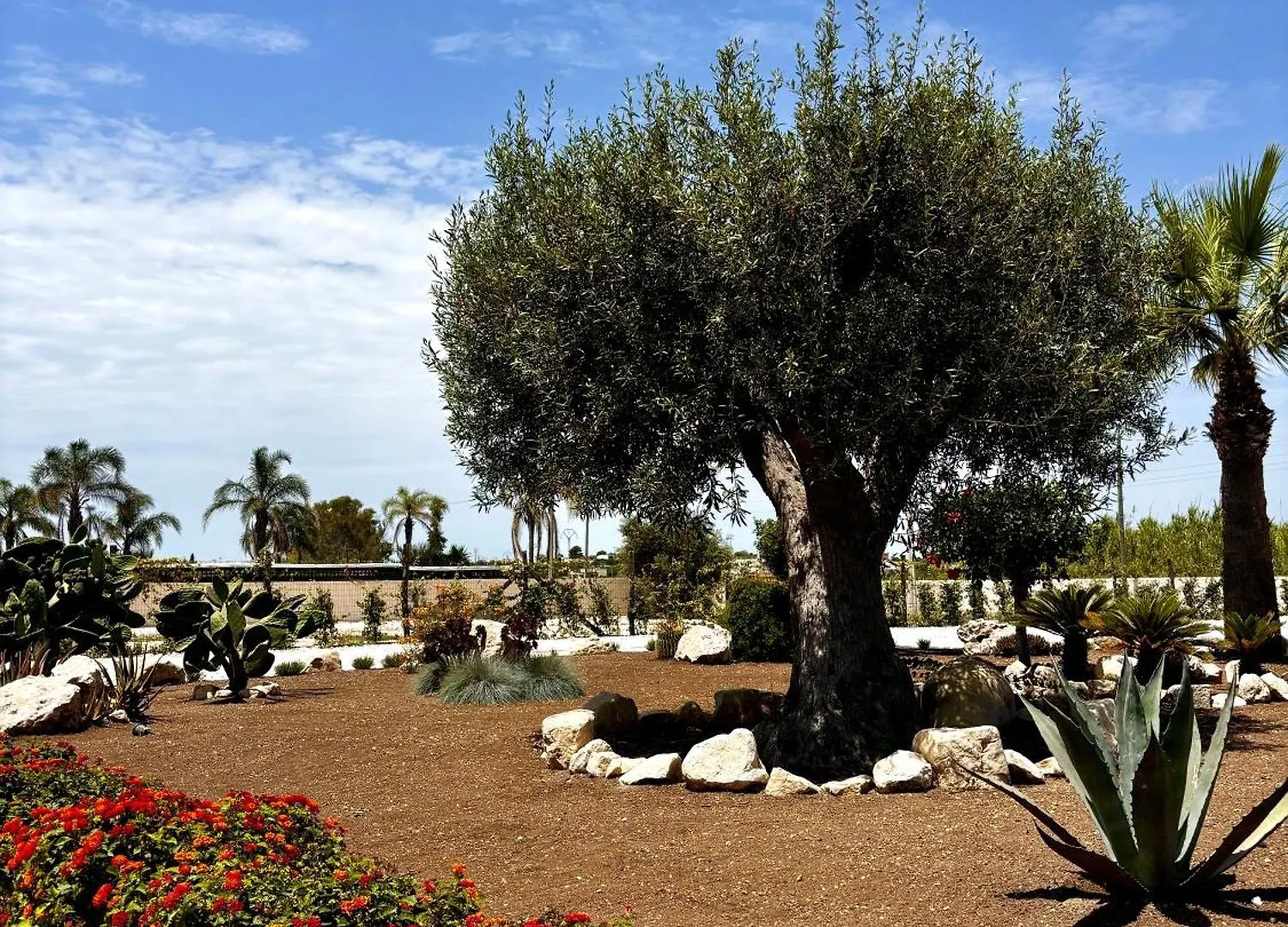 Terranura Bed & Breakfast Reitani 0*,