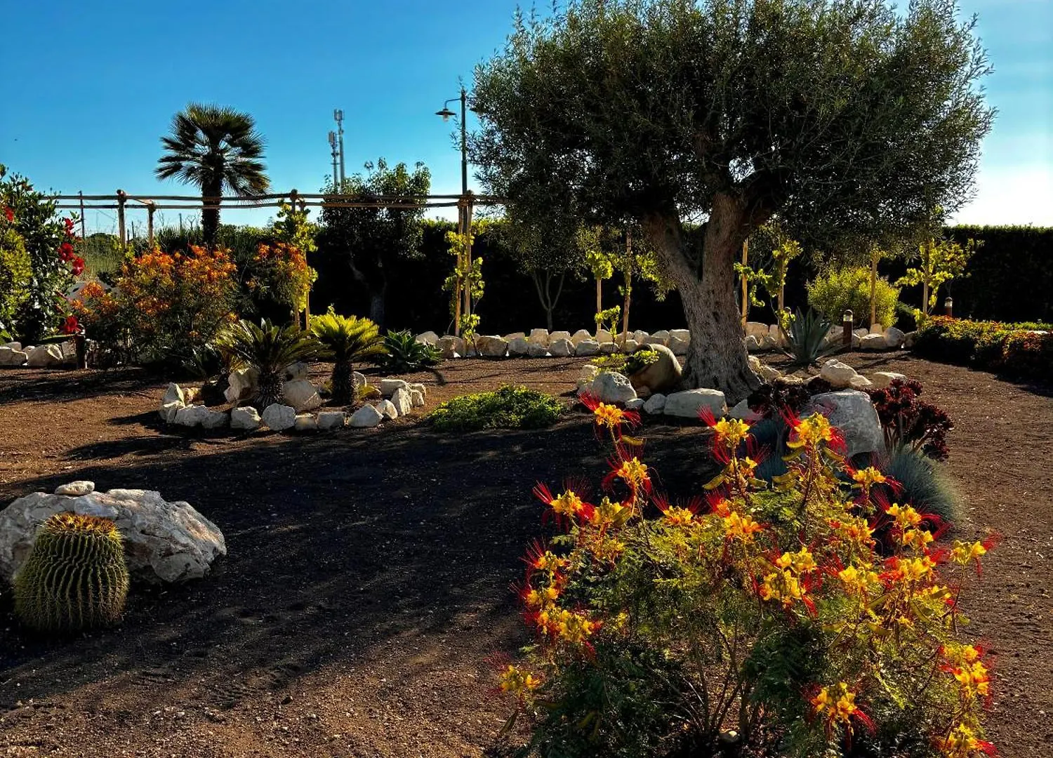 Terranura Bed & Breakfast Reitani